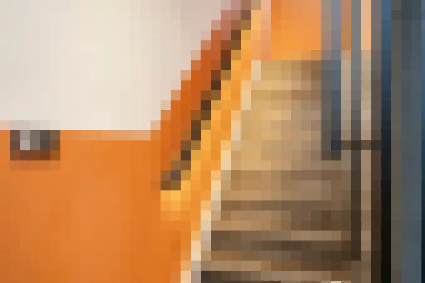 Lubberdinksweg 15 Denekamp thumbnail 26
