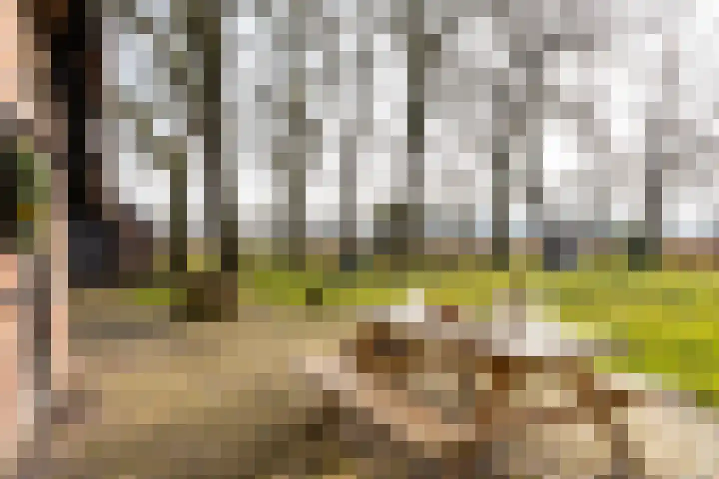Lubberdinksweg 15 Denekamp foto 3