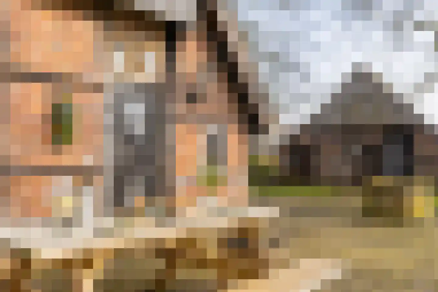 Lubberdinksweg 15 Denekamp thumbnail 33