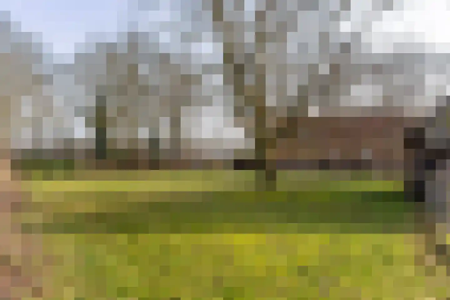 Lubberdinksweg 15 Denekamp thumbnail 39