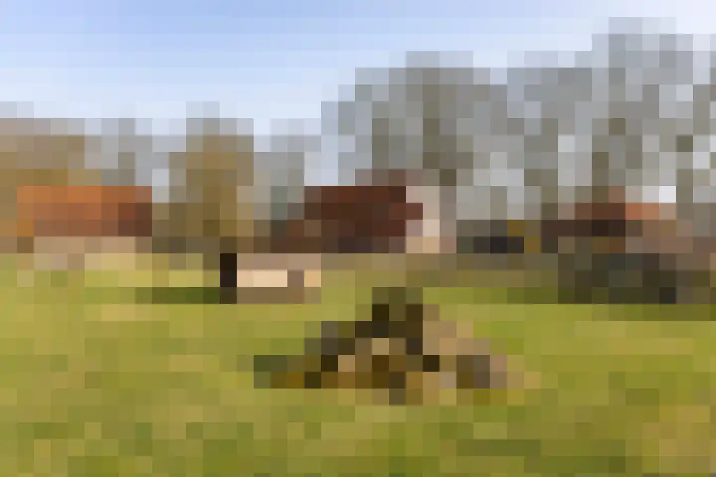 Lubberdinksweg 15 Denekamp thumbnail 40