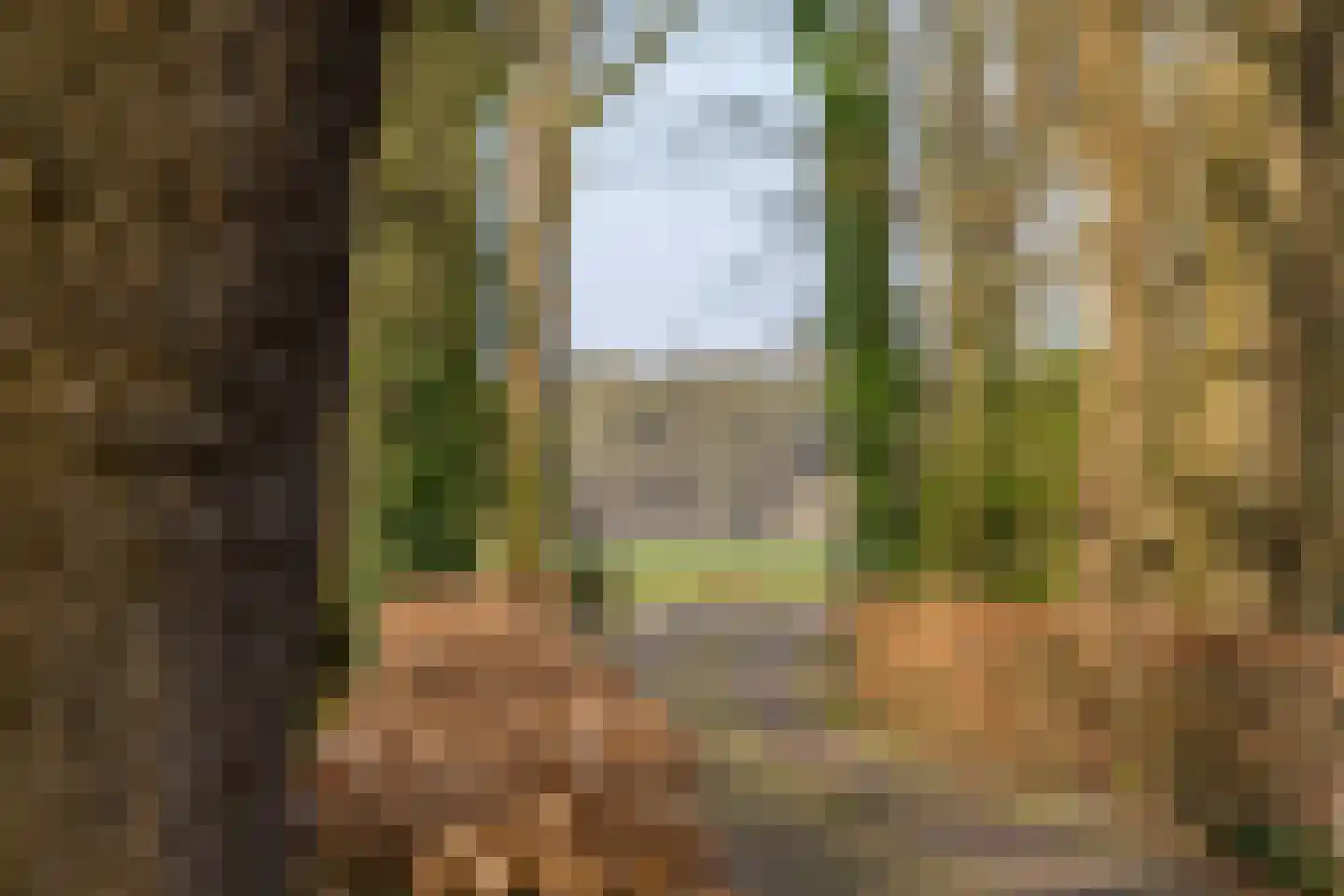 Lubberdinksweg 15 Denekamp thumbnail 6