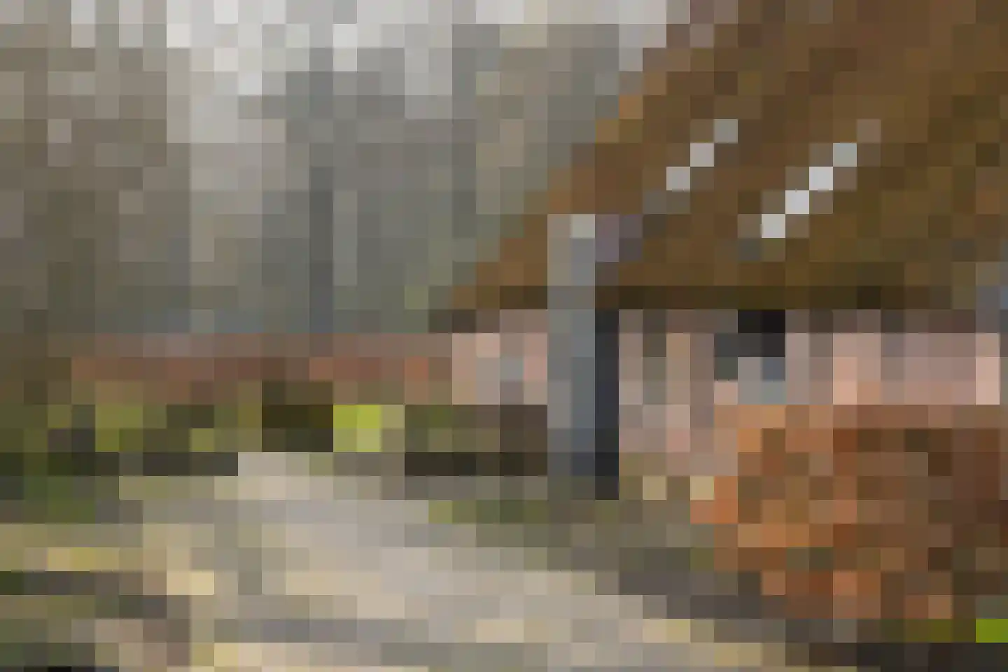 Lubberdinksweg 15 Denekamp thumbnail 7