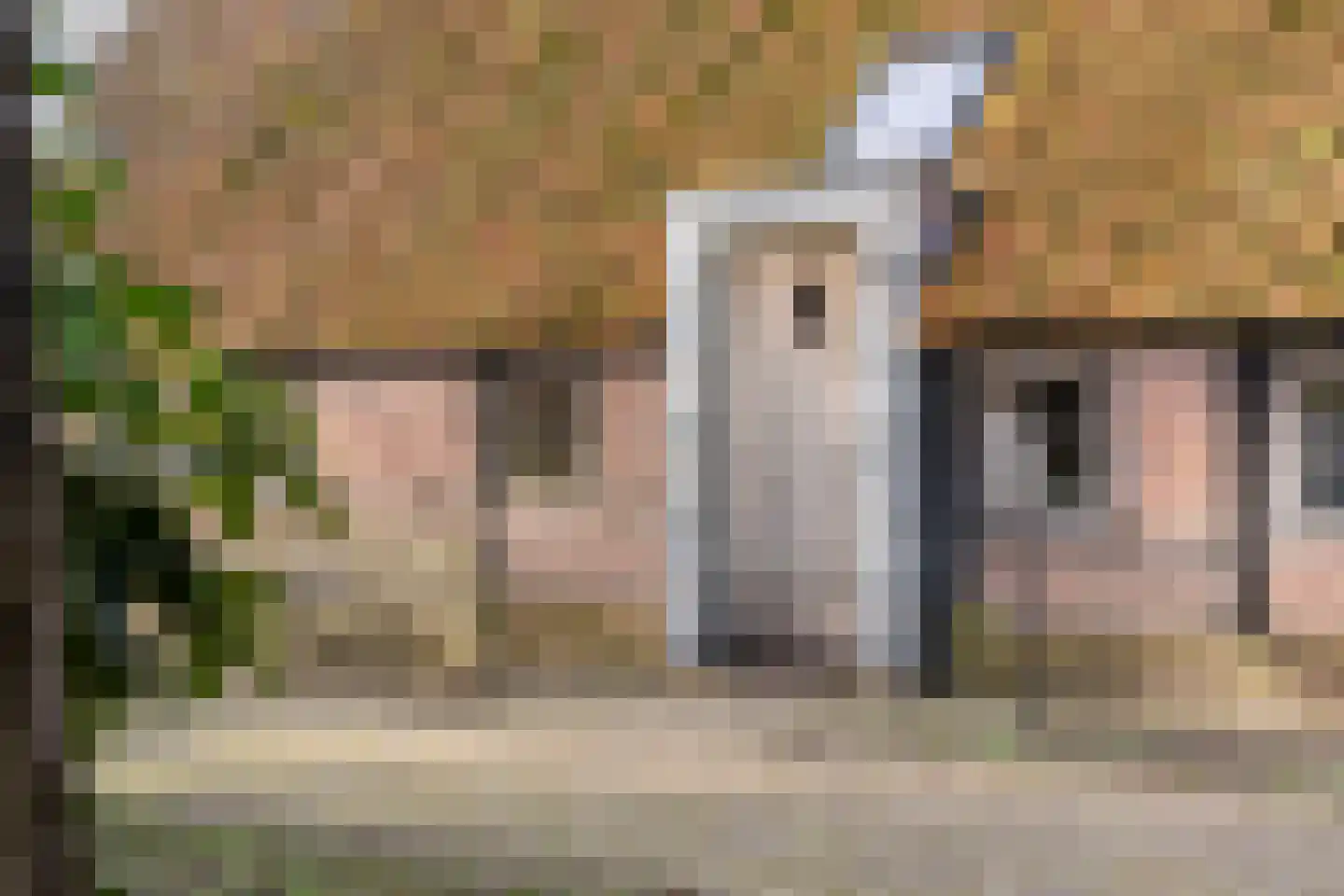 Lubberdinksweg 15 Denekamp thumbnail 9