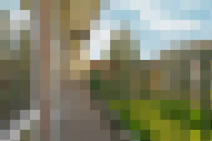 Lucellestraat 7 3 Amsterdam thumbnail 7