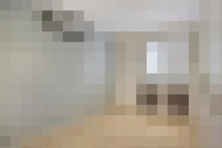 Luchtenburg 10 Oss thumbnail 12