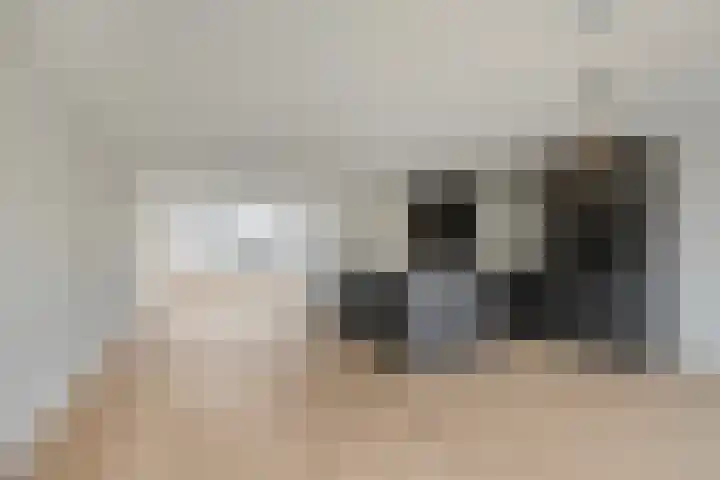 Luchtenburg 10 Oss thumbnail 6