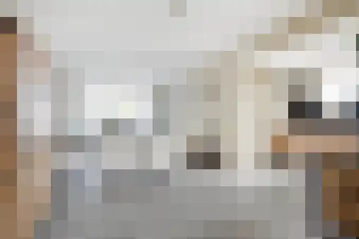 Luciastraat 79 Beek thumbnail 15
