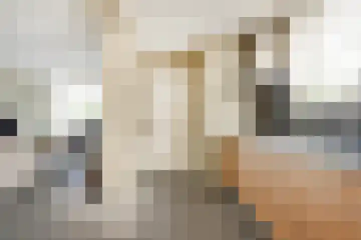 Luciastraat 79 Beek thumbnail 19