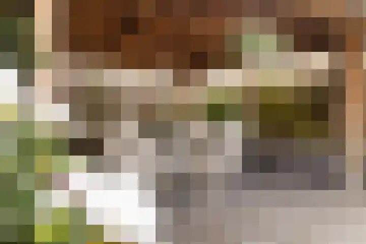 Luciastraat 79 Beek thumbnail 39