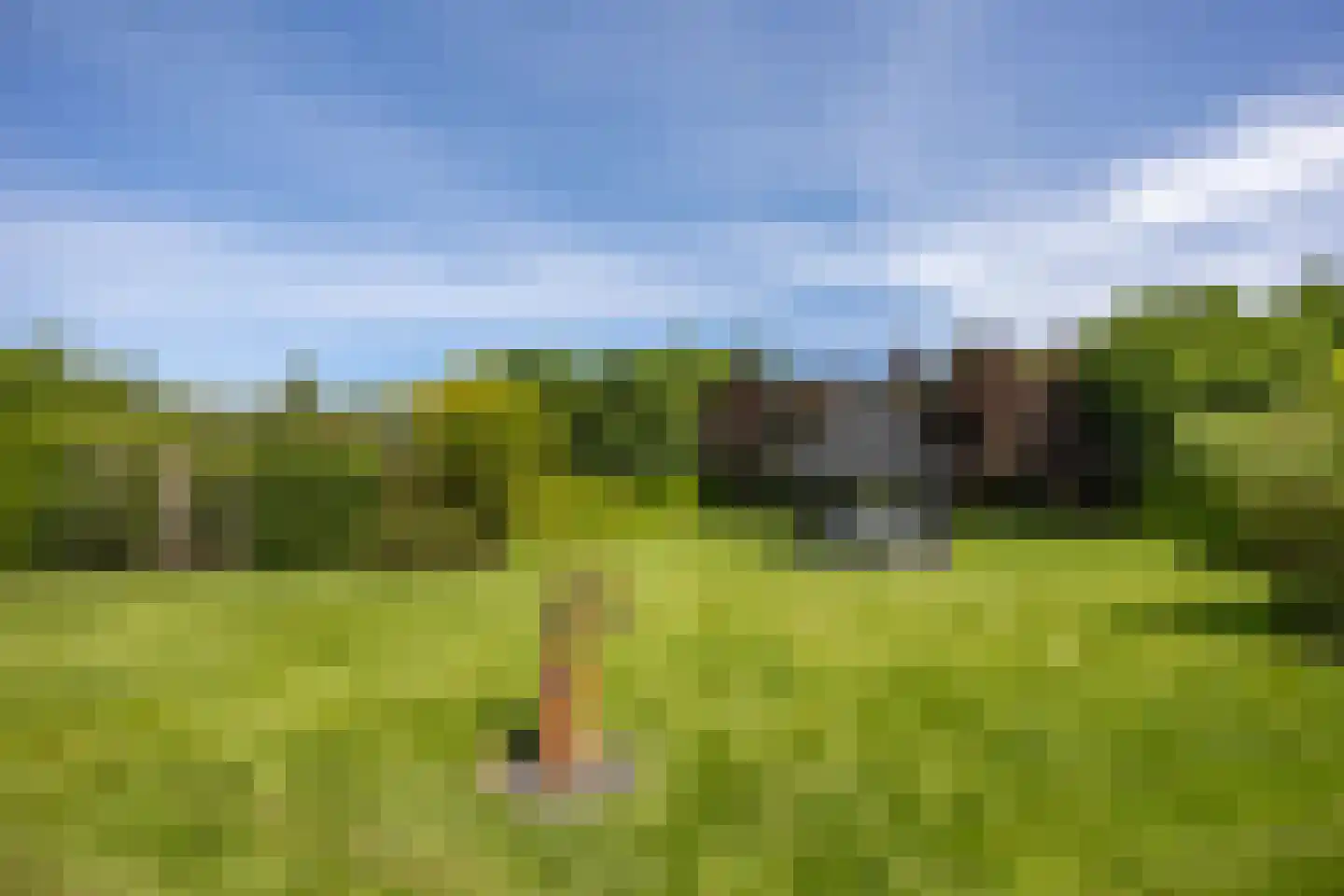 Ludenbos 27 Almere thumbnail 75