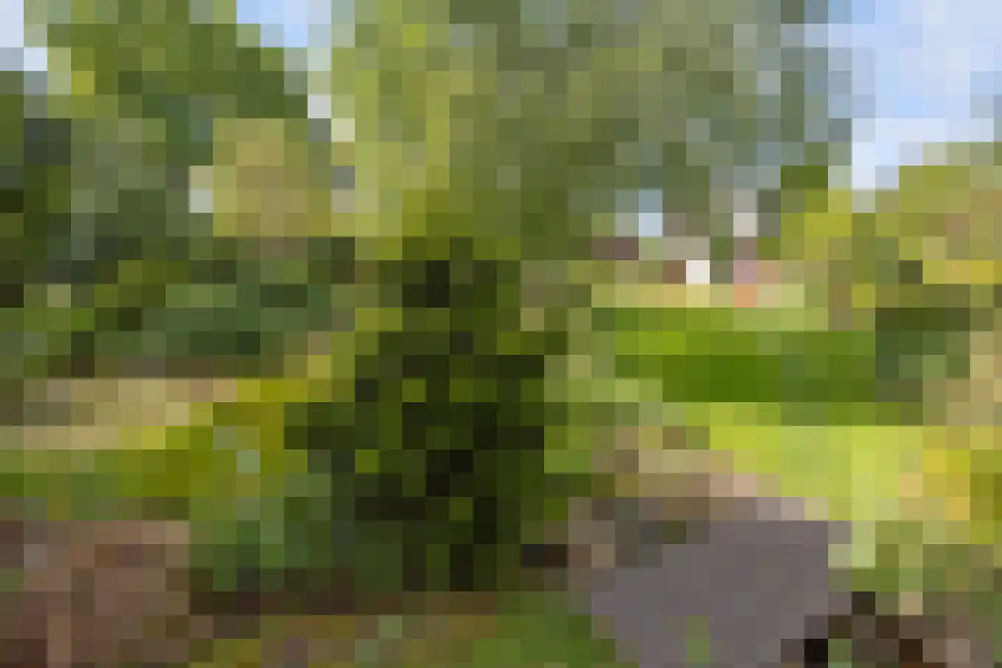 Ludenbos 30 Almere thumbnail 42