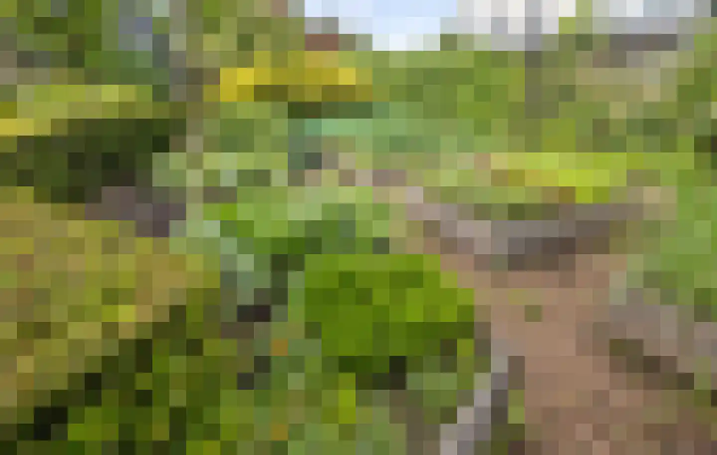 Ludenbos 30 Almere thumbnail 43