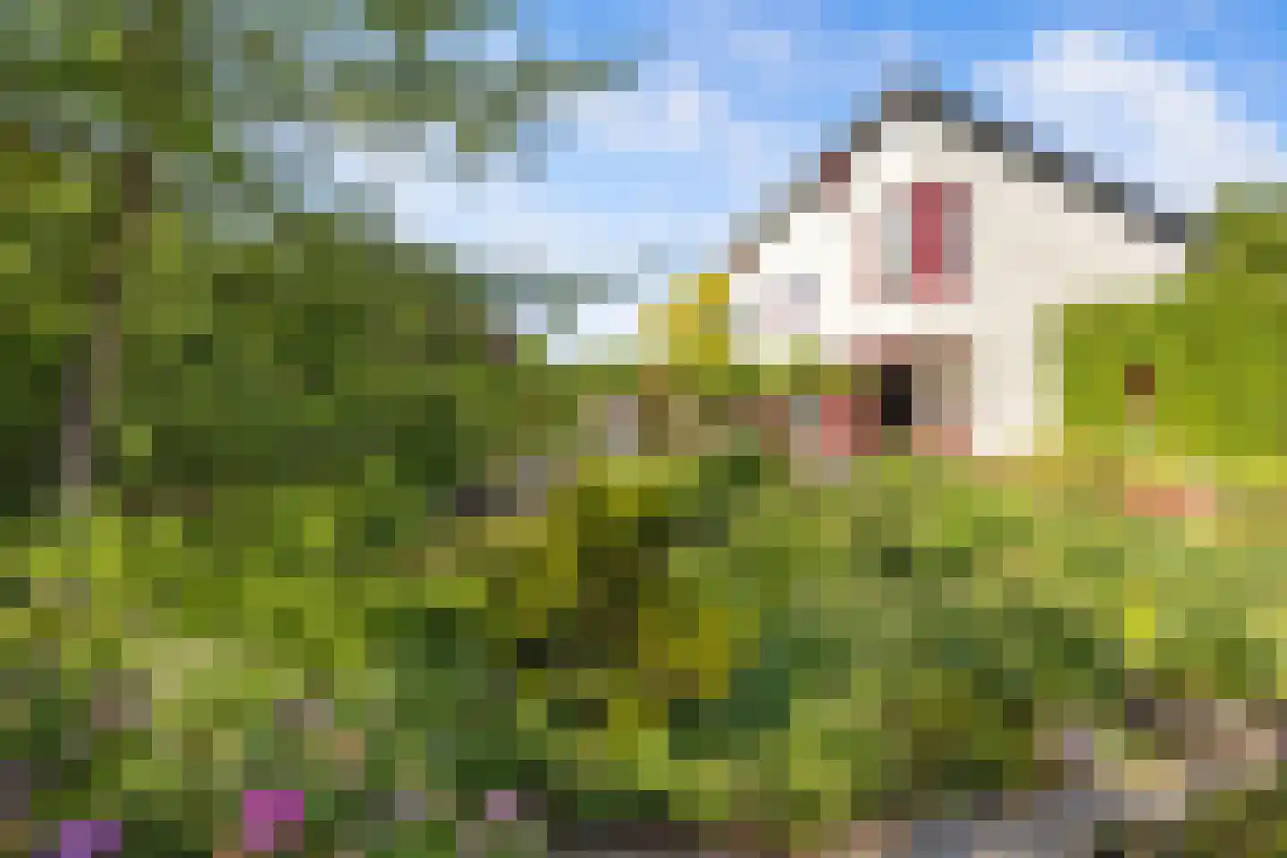 Ludenbos 30 Almere thumbnail 46