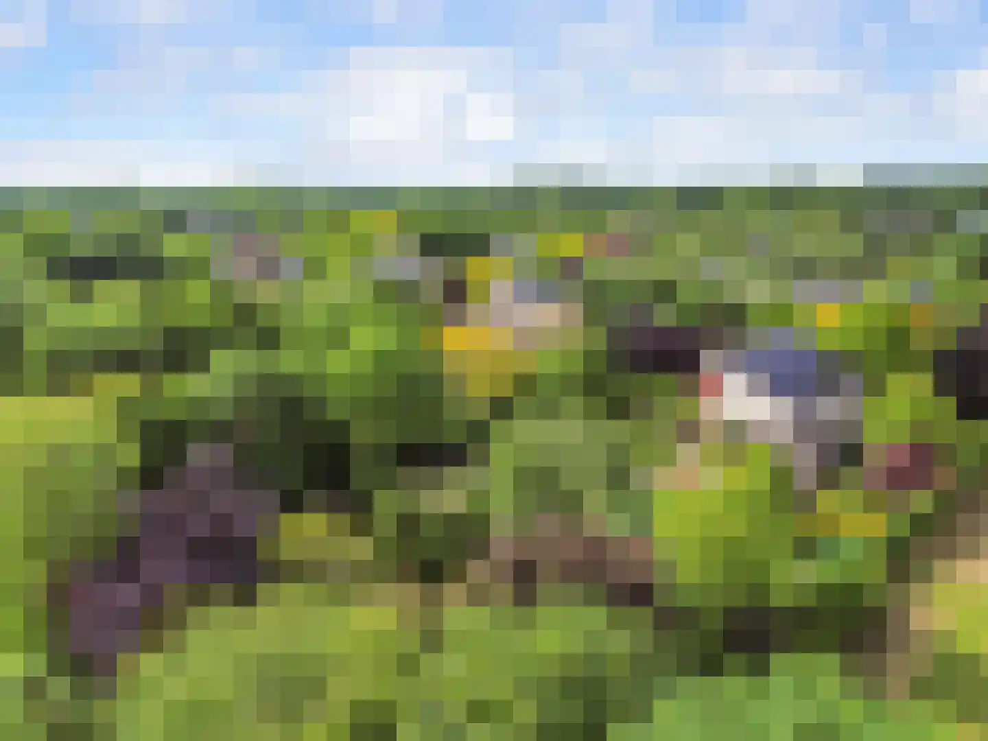 Ludenbos 30 Almere thumbnail 53