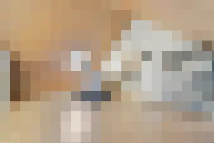 Ludgerusstraat 2 a Didam thumbnail 24