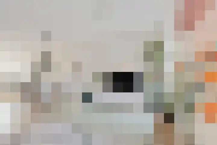 Ludgerusstraat 2 a Didam thumbnail 5