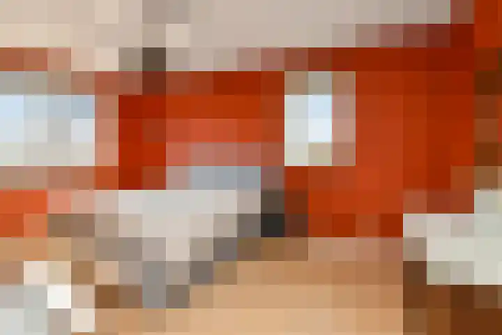 Luikap 1 Valburg thumbnail 17