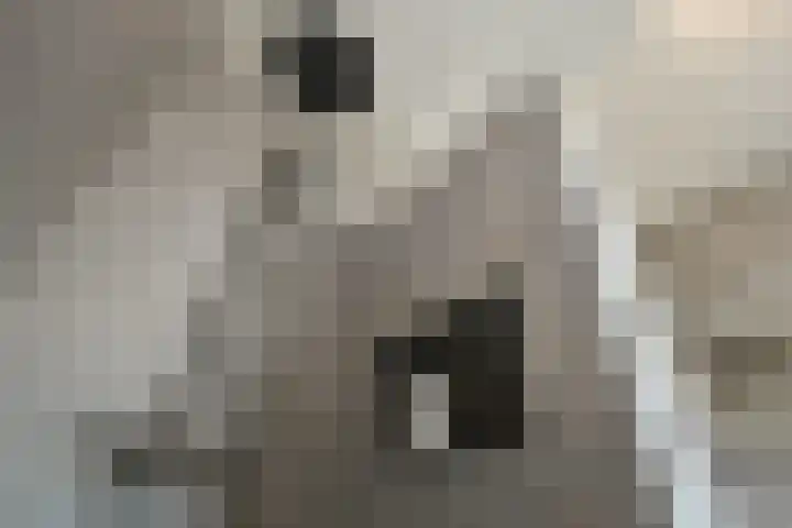 Luikap 1 Valburg thumbnail 27