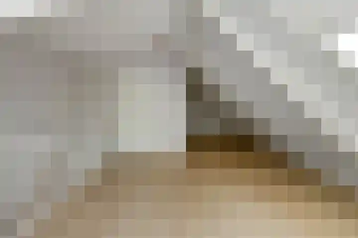 Luikap 1 Valburg thumbnail 31