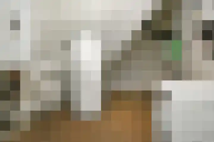 Luikap 1 Valburg thumbnail 32