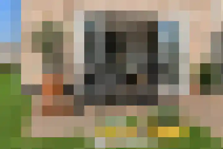 Luikap 1 Valburg thumbnail 36