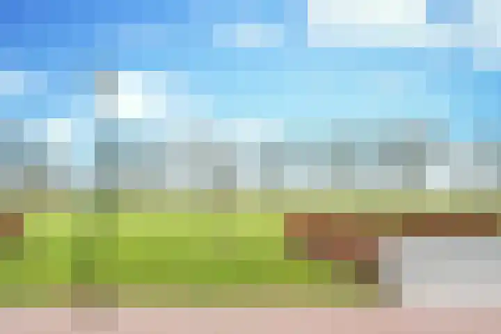 Luikens 5 Esbeek thumbnail 32