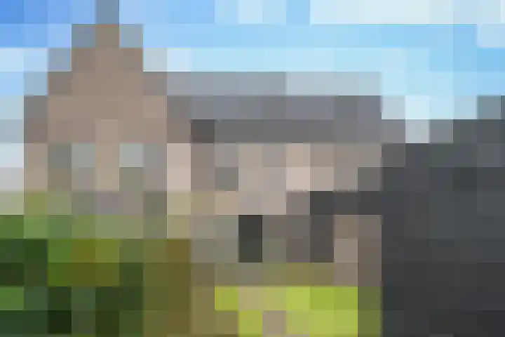 Luikens 5 Esbeek thumbnail 4
