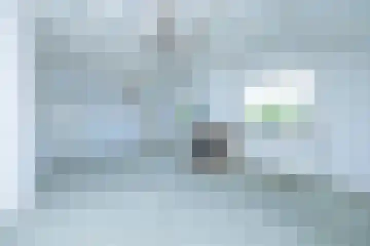 Luissel 11 Boxtel thumbnail 24