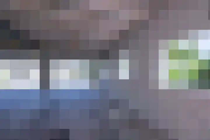 Luissel 11 Boxtel thumbnail 32