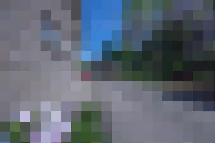 Luissel 11 Boxtel thumbnail 33