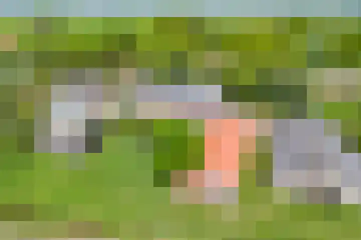Luissel 11 Boxtel thumbnail 40
