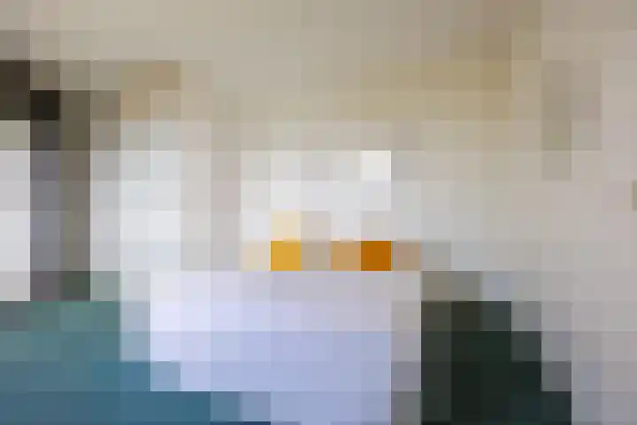 Luit 23 Ewijk thumbnail 24