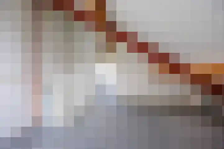 Luit 23 Ewijk thumbnail 35