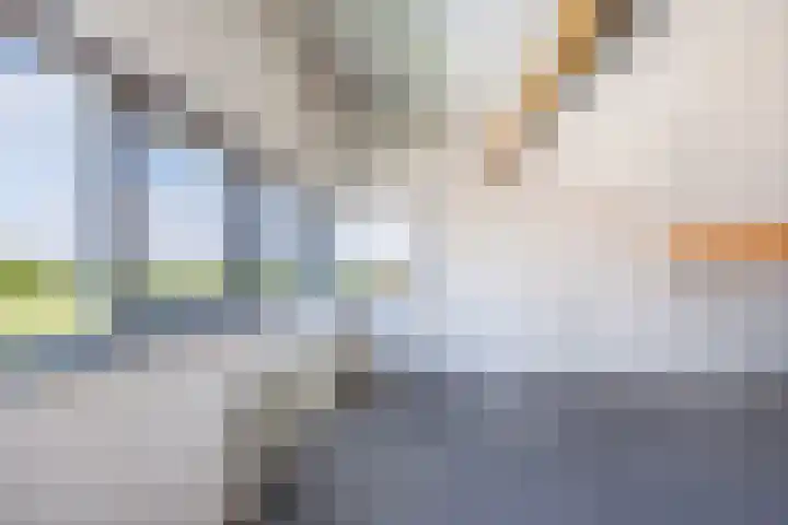 Luit 23 Ewijk thumbnail 37