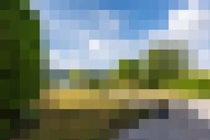 Luit 23 Ewijk thumbnail 39