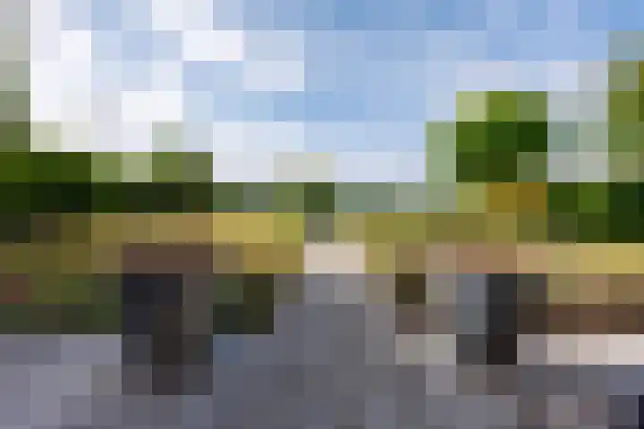Luit 23 Ewijk thumbnail 40