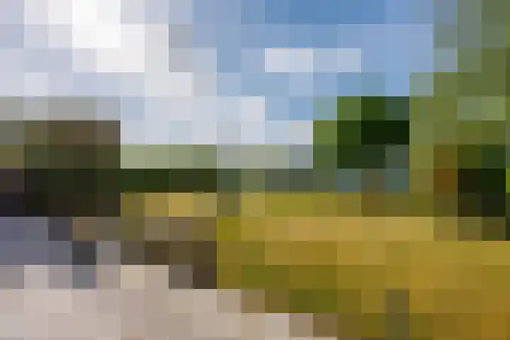 Luit 23 Ewijk thumbnail 41