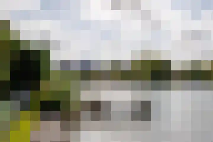 Luit 23 Ewijk thumbnail 42