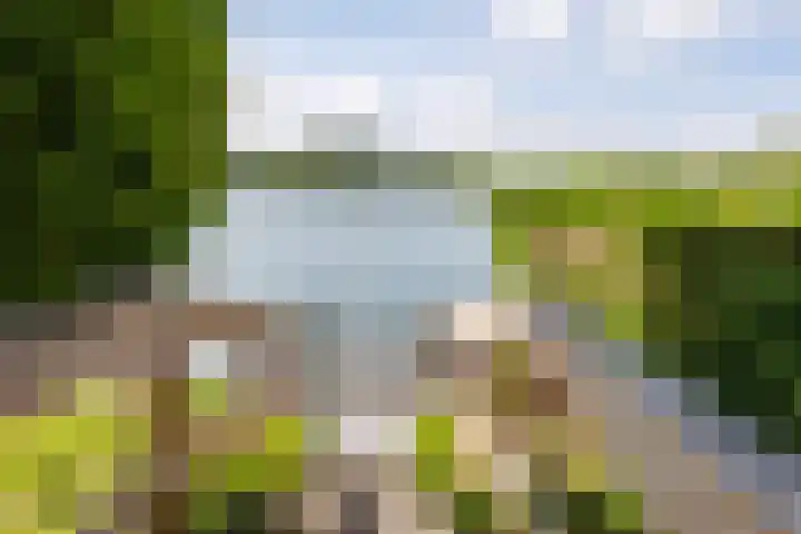 Luit 23 Ewijk thumbnail 43