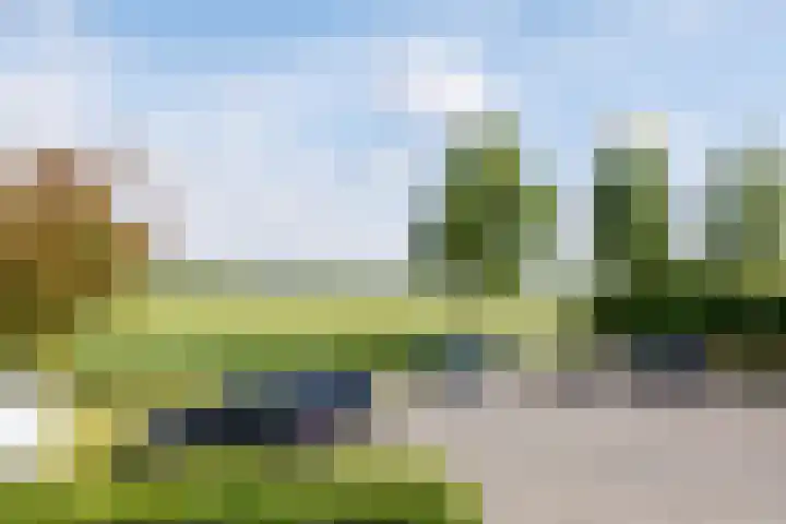 Luit 23 Ewijk thumbnail 50