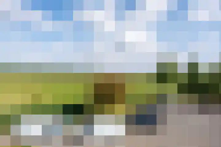 Luit 23 Ewijk thumbnail 51