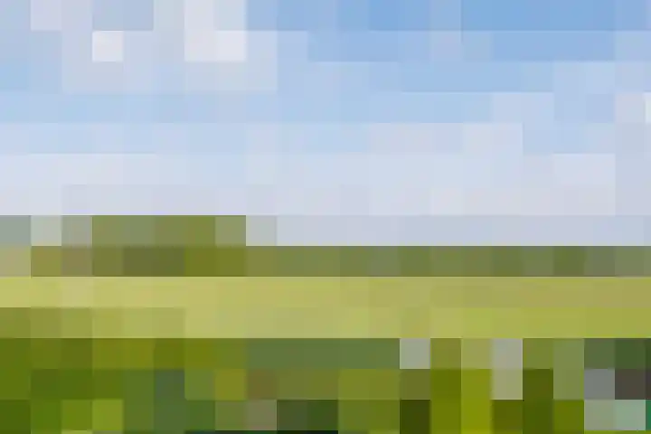 Luit 23 Ewijk thumbnail 52
