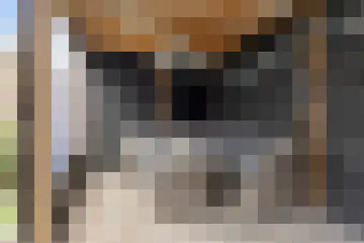 Luit 35 Kampen thumbnail 34