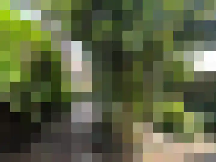 Luitstraat 1 Purmerend thumbnail 17