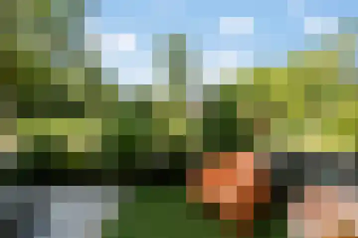 Luitstraat 1 Purmerend thumbnail 21