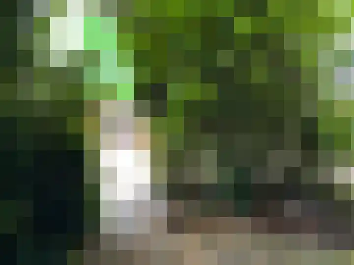 Luitstraat 1 Purmerend thumbnail 30
