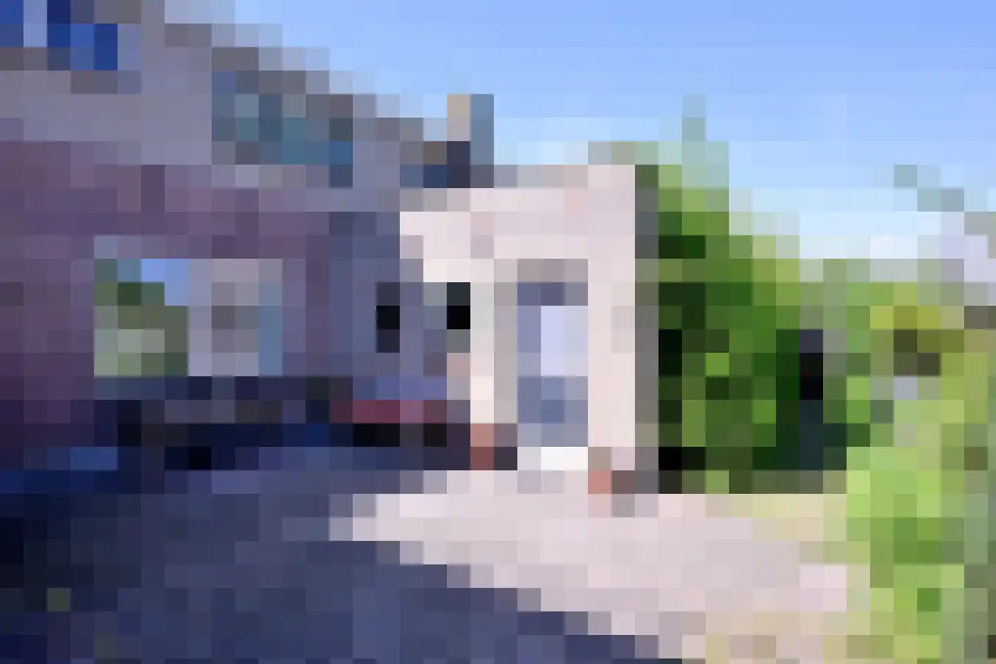 Luitstraat 1 Purmerend thumbnail 4