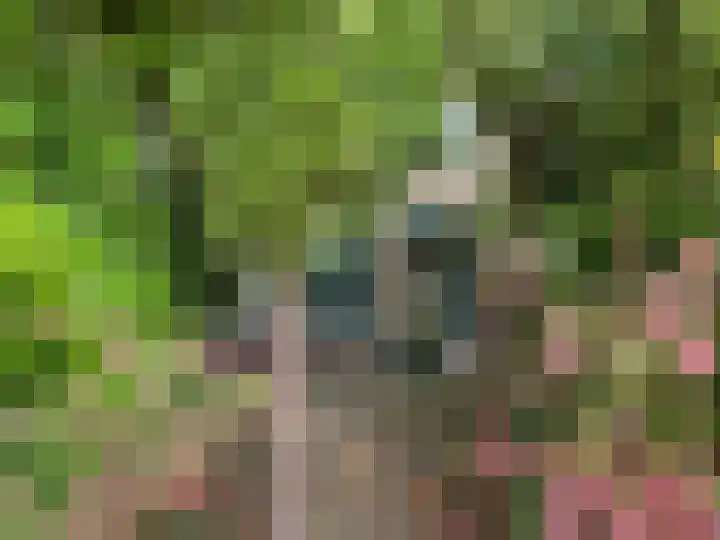 Luitstraat 1 Purmerend thumbnail 4