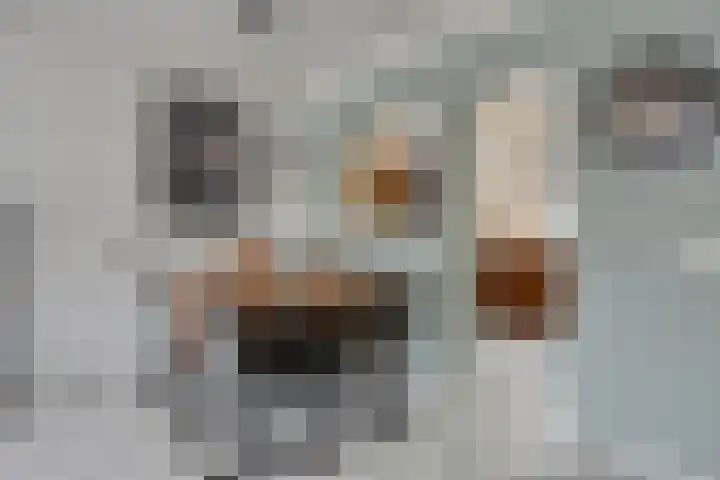 Luitstraat 51 Venray thumbnail 9